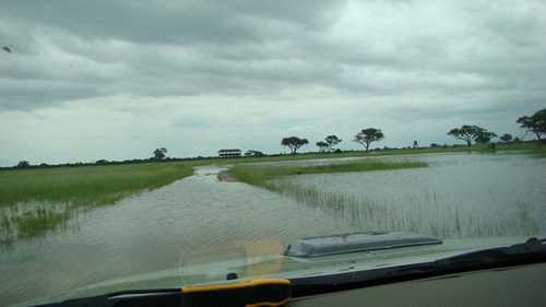 Nyamandhlovu Pan Hawange