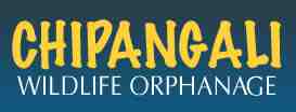 www.chipangali.com