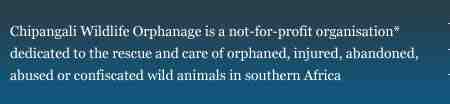 www.chipangali.com