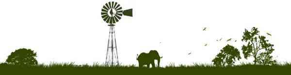 Friends-of-Hwange-Trust