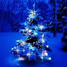 Bulawayo Morning Mirror xmas tree